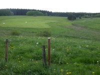 braunkehlchen revier im naturschutzgebiet breitenbach