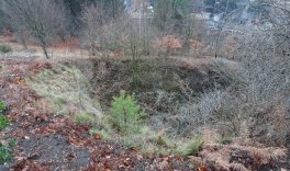 Lebensräume aus zweiter Hand- Steinbrüche in Stolberg