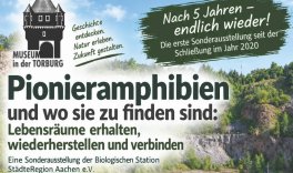 Sonderausstellung zum LIFE-Projekt im Museum in der Torburg