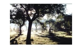 streuobstwiese biostation stolberg aachen