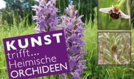 Kunst trifft...Orchideen – Kunst für den Artenschutz