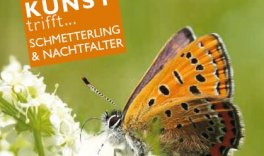 Kunst trifft… Schmetterling und Nachfalter