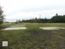 Abendexkursion zu den Amphibien auf Carl-Alexander