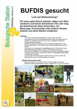 BUFDIS gesucht