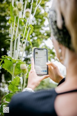 Bioblitz- Deutschlandweiter Wettbewerb zur Erfassung der Artenvielfalt im Jahr 2022