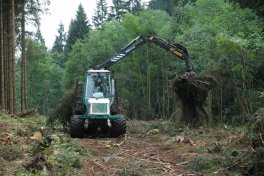 Déblaiement de branchages par le porteur dans le Rurtal