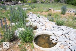 Die Brunnenring sind ideale Gewässer für die Gelbbauchunke. Die Steine ermöglichen den Ein- und Ausstieg für Unken und andere Tier und bietet Versteckmöglichkeiten. Über ein Drainagesystem kann das Wasser im Winter einfach abgelassen werden. Bildautor: Fa