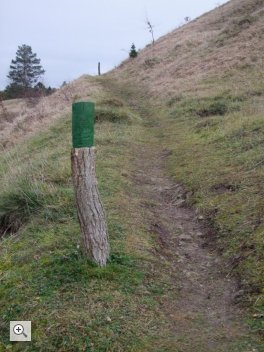 Die zugelassenen Wege werden durch grün markierte Holzpinne markiert