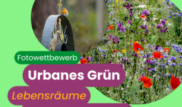 Fotowettbewerb "Urbanes Grün"