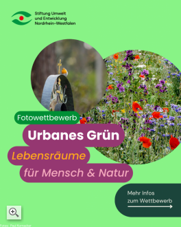 Fotowettbewerb "Urbanes Grün"