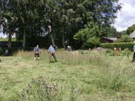 Grünflächengestaltung im Dorf