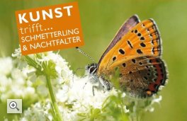 Herzliche Einladung zur Aktion "Kunst trifft Schmetterling & Nachtfalter" 23./24. & 30./31.8.2025
