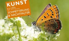 Herzliche Einladung zur Aktion "Kunst trifft Schmetterling & Nachtfalter" 23./24. & 30./31.8.2025