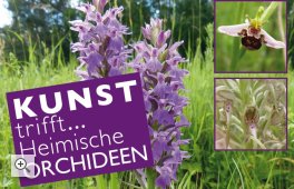 Kunst trifft...Orchideen – Kunst für den Artenschutz