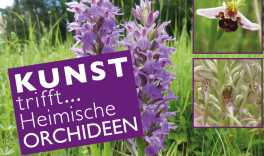 Kunst trifft...Orchideen