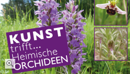Kunst trifft...Orchideen