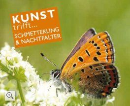 Kunst trifft… Schmetterling und Nachfalter