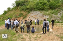 LIFE-Amphibienverbund: Treffen mit den Amphibien-Ranger/innen