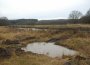 Lebensraum Amphibien