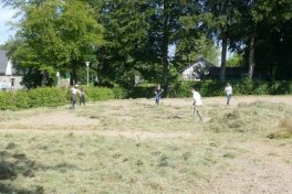 Mahdgutübertragung im Dorfpark Höfen  - Gestaltung naturnaher Flächen in Zusammenarbeit mit dem Förderverein Golddorf Höfen und der Life+ Projekt Patches and Corridors zum Schutz des blauschillernden Feuerfalters