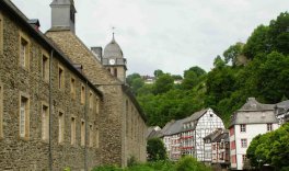 Neophyten_Rur_Monschau