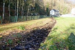 Neupflanzung einer wilden Hecke im Pfarrgarten Stolberg-Vicht  In Zusammenarbeit mit der IG Vicht