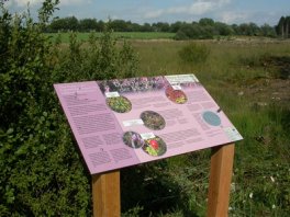 Panneau d'information de la route des marais dans la réserve naturelle Kranzbruch