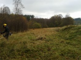 Pflegearbeiten auf den Borstgrasrasen im Ermesbachtal