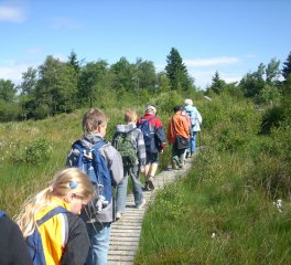 Wanderung im hohen Venn