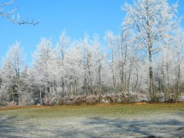 heckenlandschaft