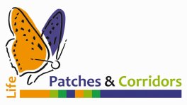 logo patches and corridors