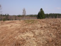 moor struffelt naturschutzgebiet