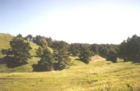 naturschutzgebiet schlangenberg