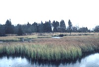 réserve naturelle vennhochfläche mützenich