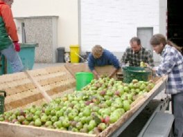  streuobst sammeln biostation stolberg aachen